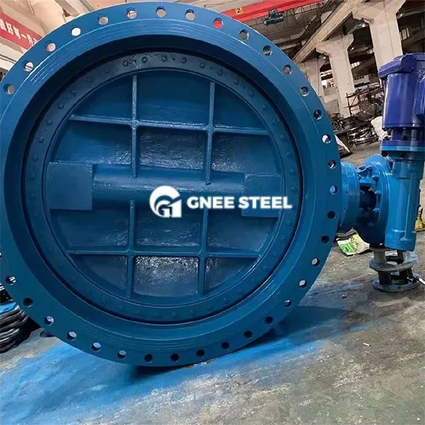 Comhla féileacán dúbailte iarann ​​insínte