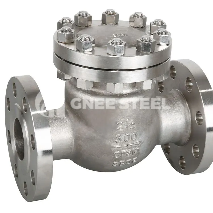 Comhla Seiceála Swing Deireadh Flanged