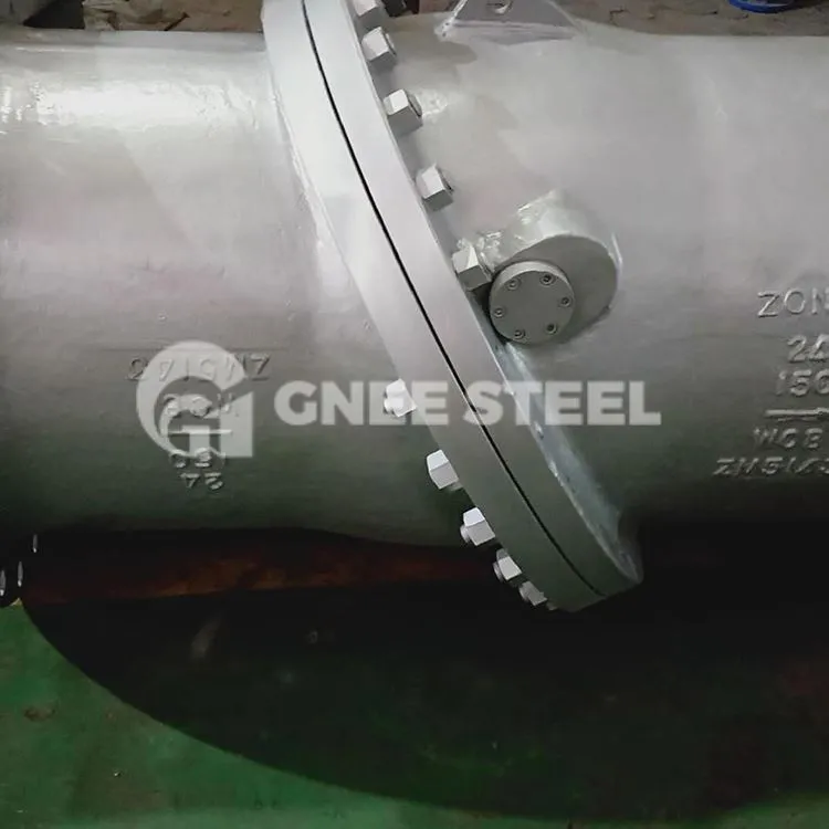 Comhlaí Seiceála Diosca Tilting Flanged