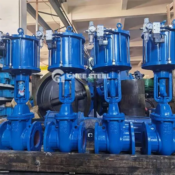 Comhlaí geata dinge neomatach