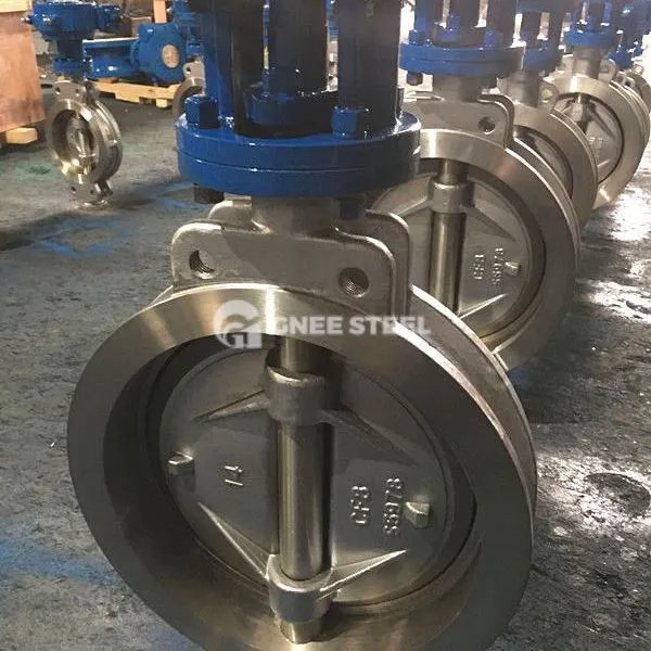 Féileacán sliseog eccentric aonair